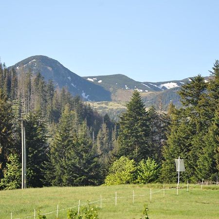 APARTAMENTY U Bliźniaków Zakopane Exterior foto