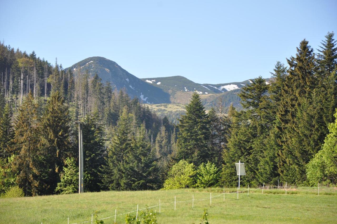 APARTAMENTY U Bliźniaków Zakopane Exterior foto