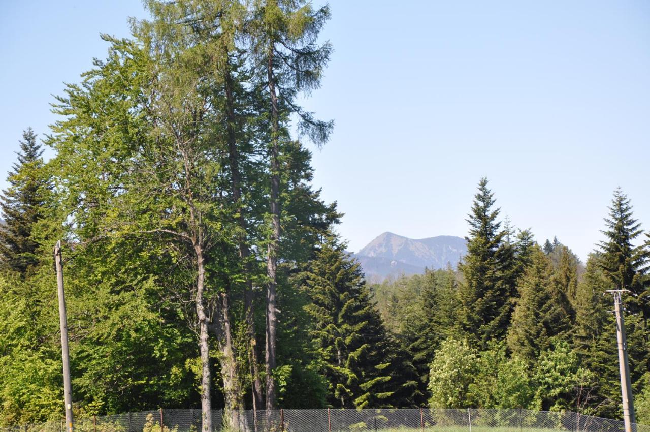 APARTAMENTY U Bliźniaków Zakopane Exterior foto