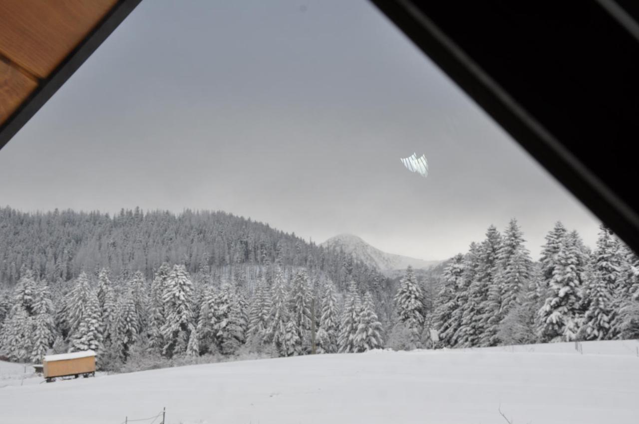 APARTAMENTY U Bliźniaków Zakopane Exterior foto